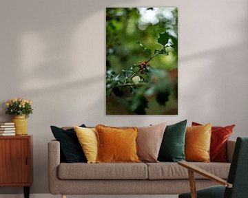 naturfoto ruhe beeren rot