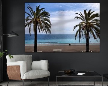 Promenade mit Palmen und Blick auf das Mittelmeer in der Innenstadt von Nizza, Côte d'Azur von Andreas Freund