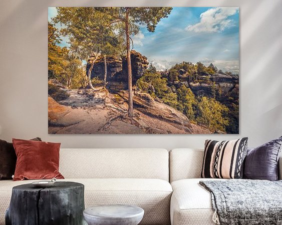 Aperçu de la chambre