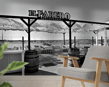 Fish restaurant at the old harbour in Novo Sancti Petri - monochrome