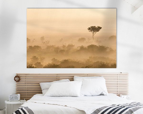 Early misty morning at the African savanna