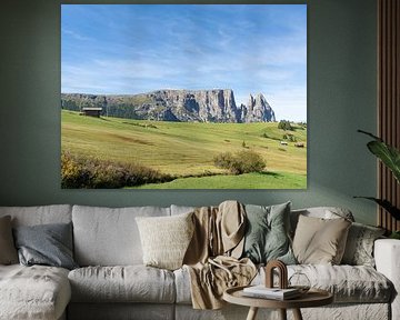 Alpe di Siusi - View of the Sciliar by Sebastian Czech