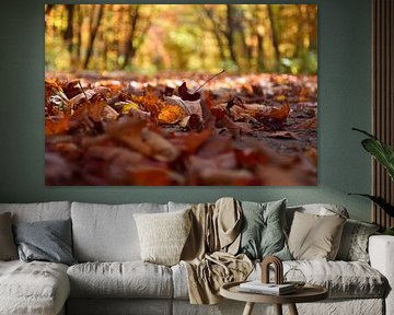 Autumn leaves in the forest by Claude Laprise