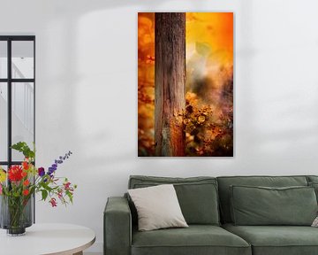 autumn colour collage