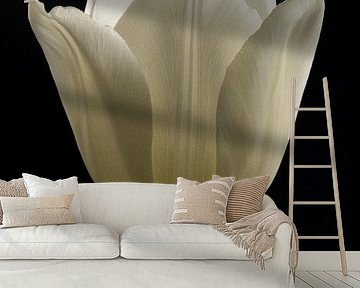 White tulip in the light by Marjolijn van den Berg