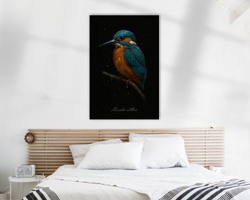 Eisvogel - Alcedo atthis von Bert Quaedvlieg