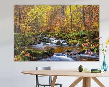 River in the colourful autumn forest