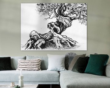 Old gnarled tree by Anita Snik-Broeken