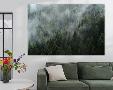 Mistzee boven de bomen