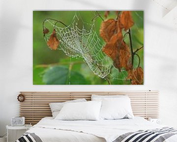 Spinnenweb van Martien Wassink