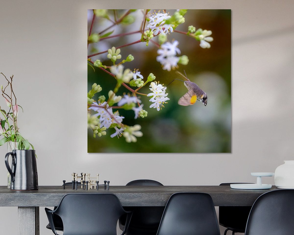 Raumvorschau