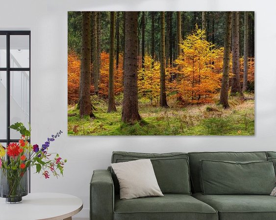 Aperçu de la chambre