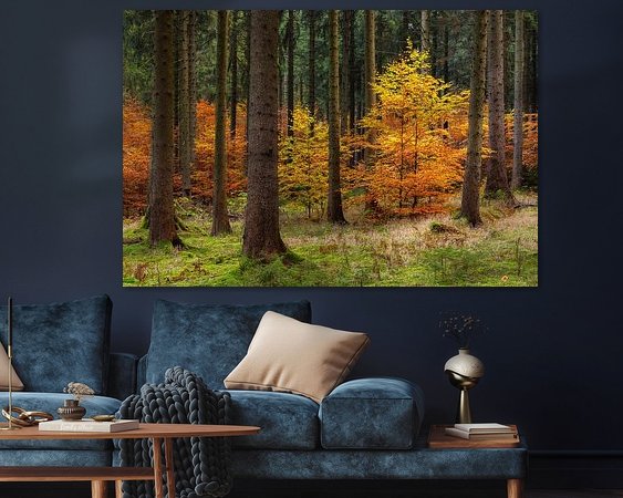 Aperçu de la chambre