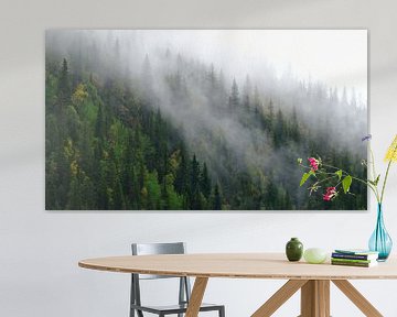 Pine in veil by Sabrina de Vries