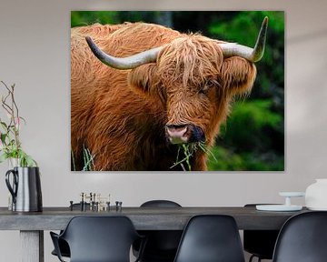 Scottish Highlander by Sabrina de Vries