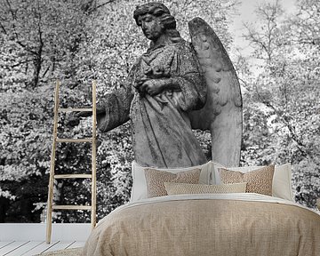 Betoverende engel - monochroom