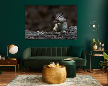 Naturfotografie von Marieke Deinum