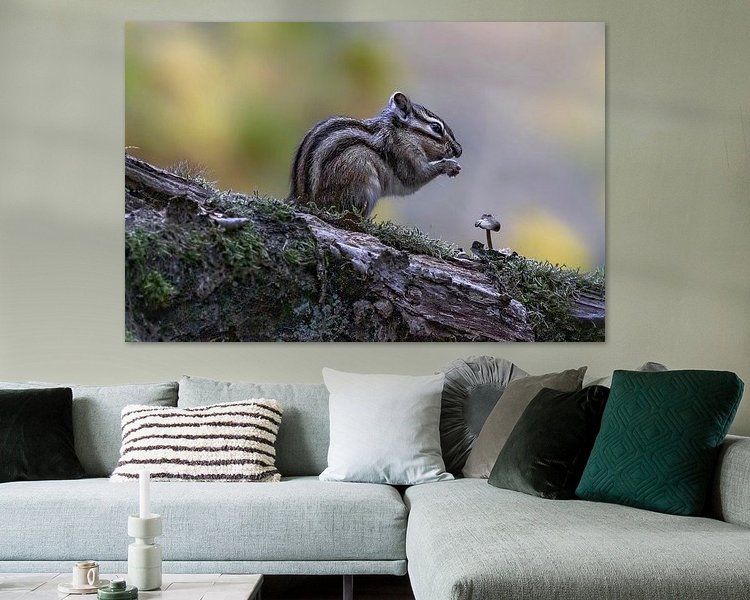 Aperçu de la chambre