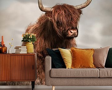 Stoere Schotse hooglander op het Hijkerveld