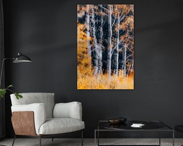 Goldener Herbst von Yanuschka | Fotografie Noordwijk