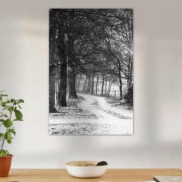 Road through the snow