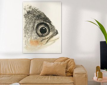 Gyotaku Fish 01