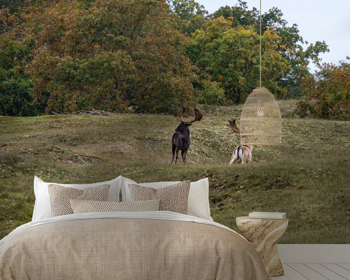Raumvorschau