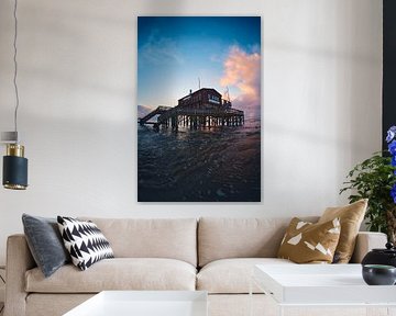 Steltkluut in het avondlicht - Zilvermeeuw St. Peter-Ording van Florian Kunde