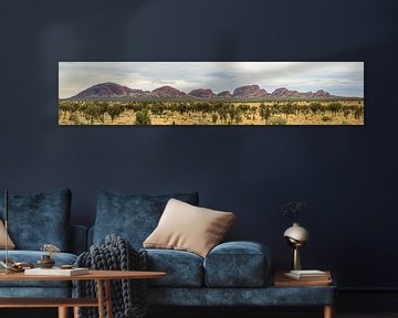 Panorama van Kata Tjuta, Olgas in Northern Territory Australië van Henk van den Brink