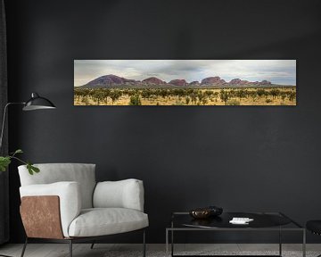 Panorama van Kata Tjuta, Olgas in Northern Territory Australië van Henk van den Brink