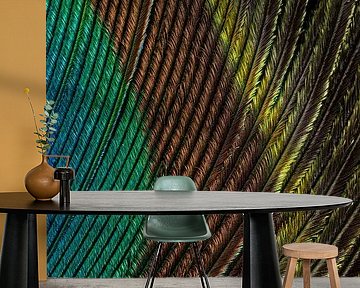 The colourful lines of a peacock feather by Marjolijn van den Berg
