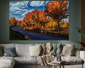 Ochtendreis naar de herfstvakantie