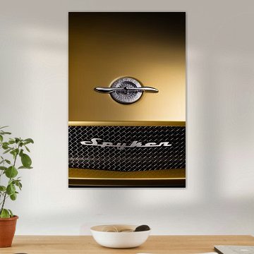 Spyker C8 Double12S #208 von Thomas Boudewijn