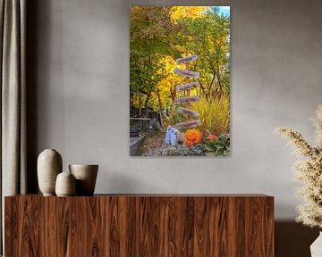 Signpost in October by Photoart-Naegele