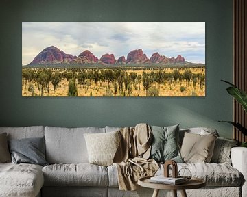 Panorama of Kata Tjuta, Olgas, Northern Territory of Australia by Henk van den Brink