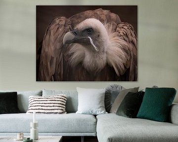 Der Gänsegeier von Willemijn Wolthaus