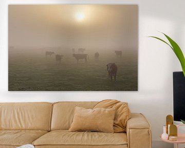 Koeien in de mist van Marcel Verheggen