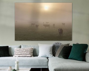 Koeien in de mist sur Marcel Verheggen