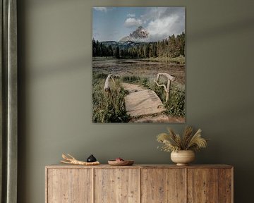 Mountain lake with wooden bridge in South Tyrol by Fabian Krebs
