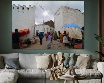 The Gates of Harar von Colette Vester