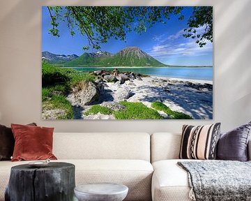 Lofoten, Norway by Sabrina de Vries