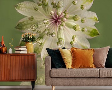 In green: The reflection of a Zeeuws Knoopje by Marjolijn van den Berg