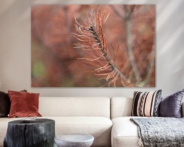 Les vibrations de l'automne doré