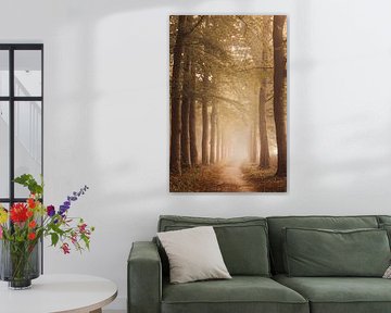 Nebliger Wald in Ommen von Wendy Van Oenen