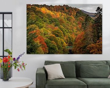 Pass of Killiecrankie autumn colour with green bridge over River by Arch White