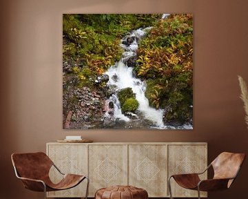 Wasserfall in Glencoe, Schottland von Johan Zwarthoed