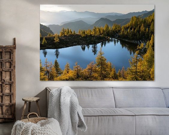 Aperçu de la chambre