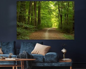 In the forest towards the light by Corinne Welp