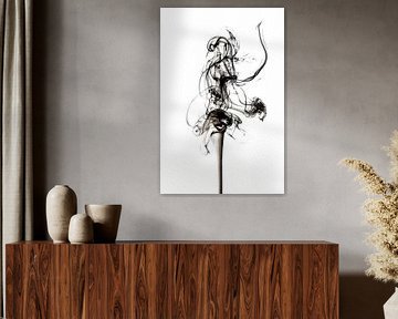 Abstract Black Smoke - Prima Ballerina
