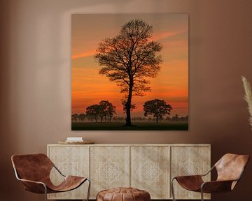 Sunset Tree van Martin Podt